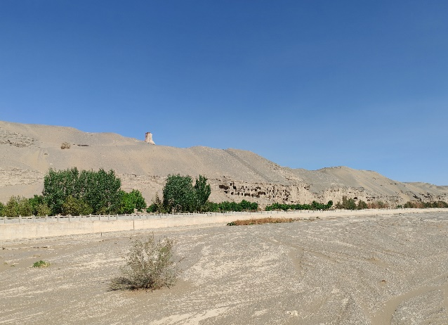 1747726455110570.png W020250515529548987761.png